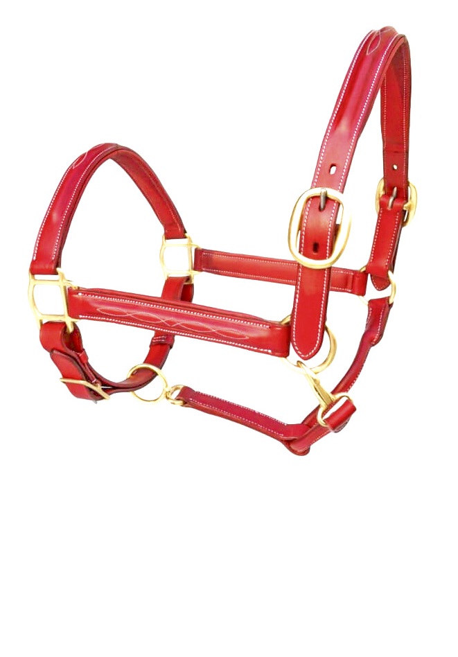 Leather Fancy Halter - Amaze Equestrian