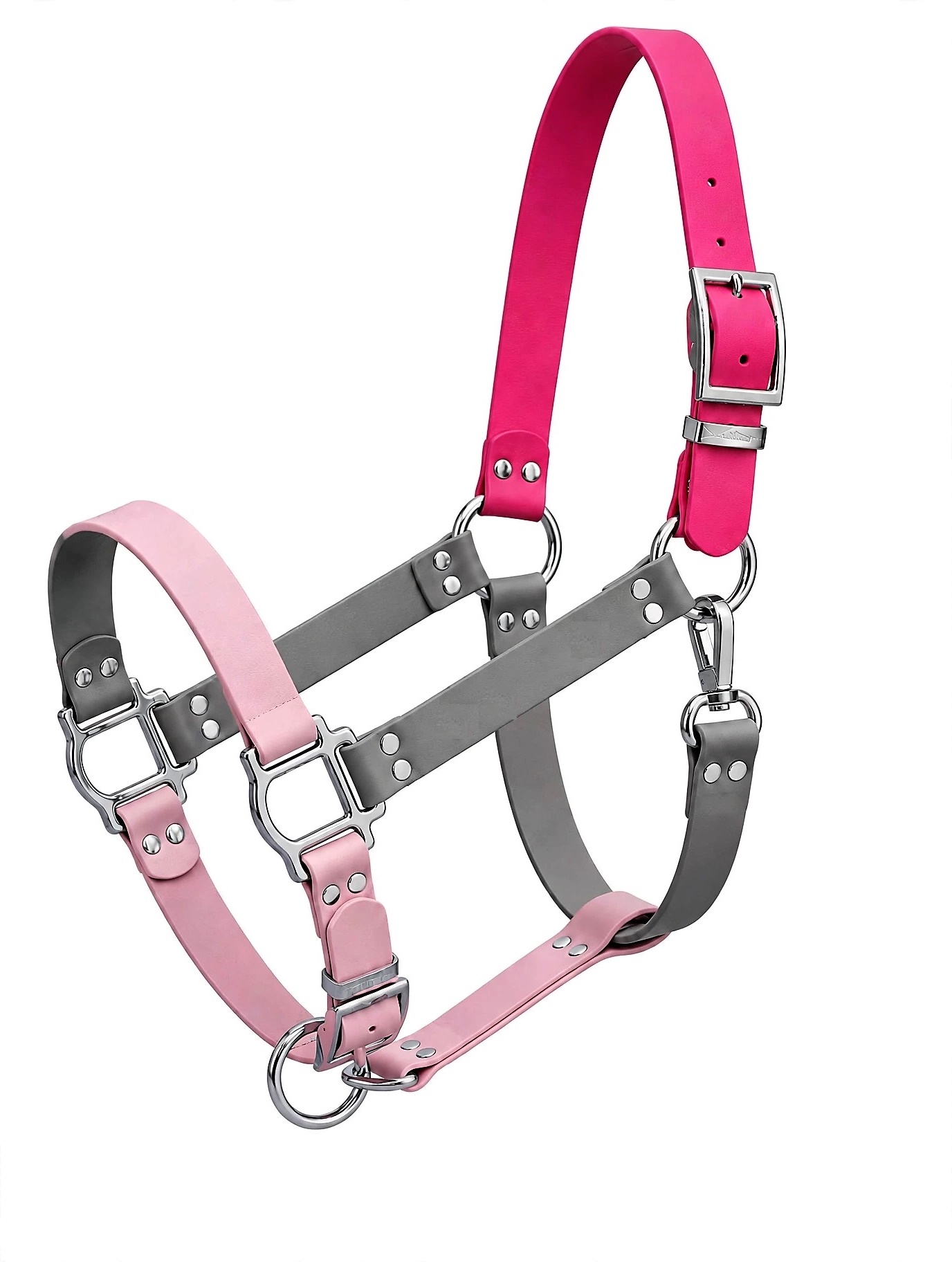Biothane halter - Amaze Equestrian