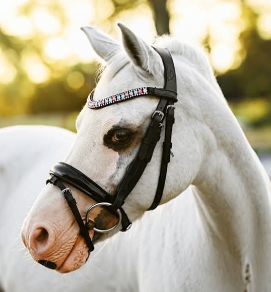 Leather Crystal Bridle Patent - Amaze Equestrian