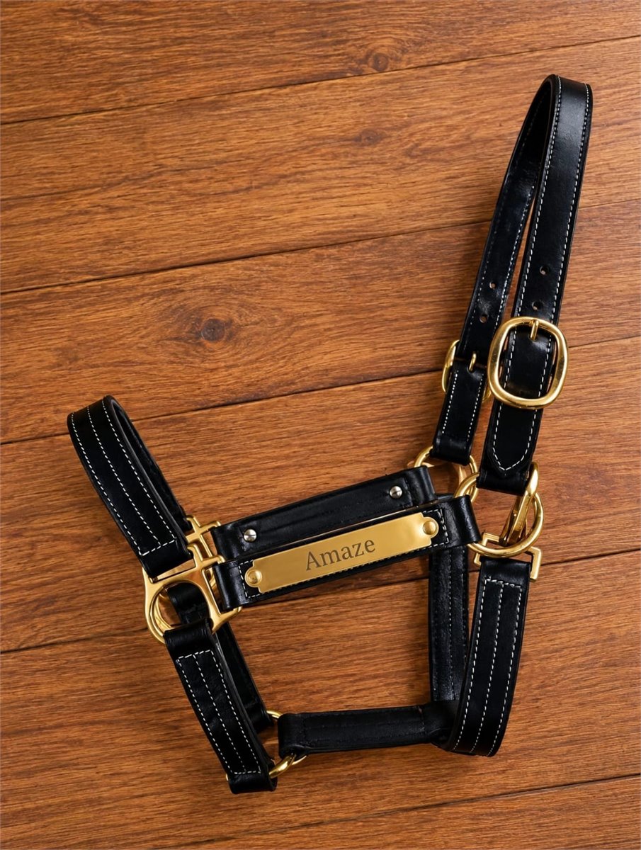 Leather Plate Halter - Amaze Equestrian