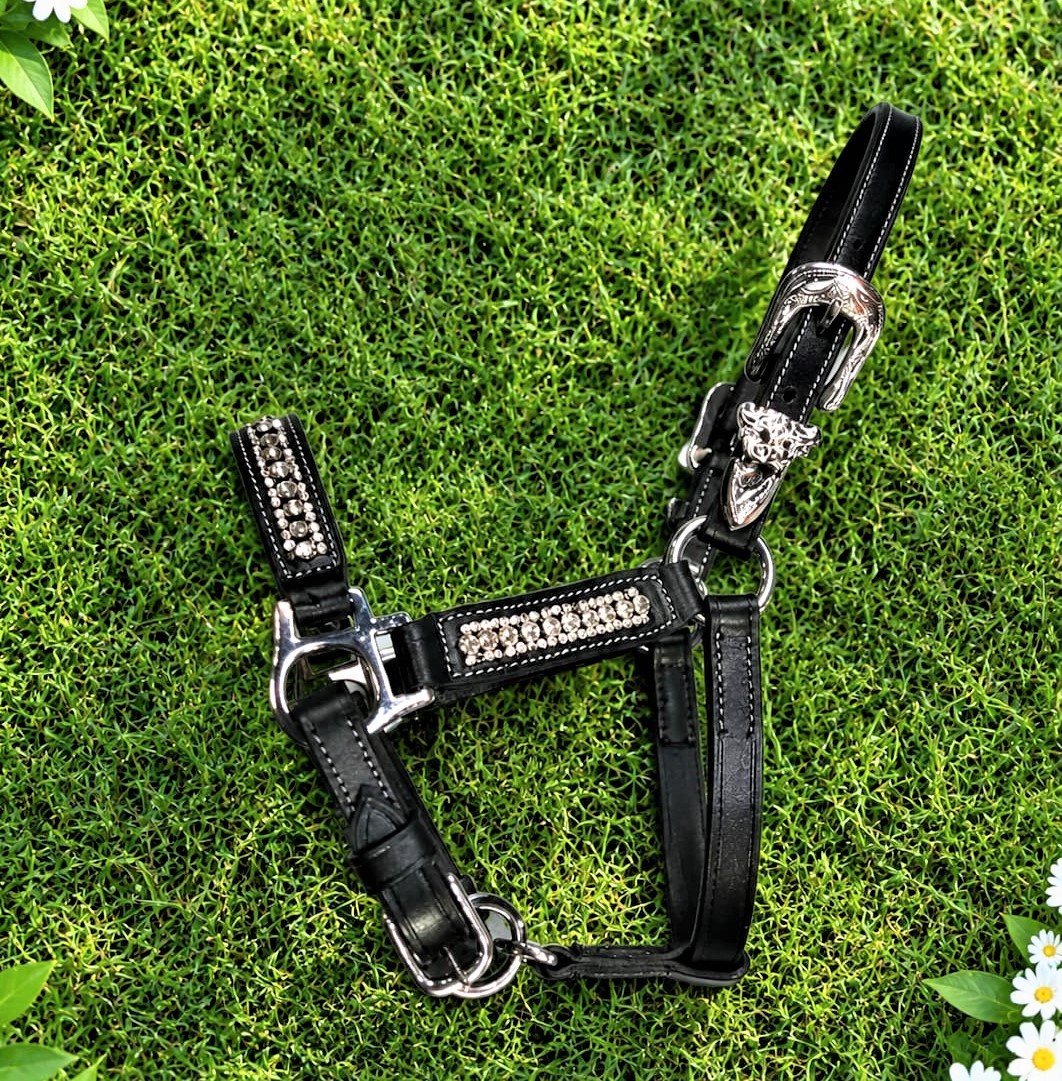 Leather Show Halter - Amaze Equestrian