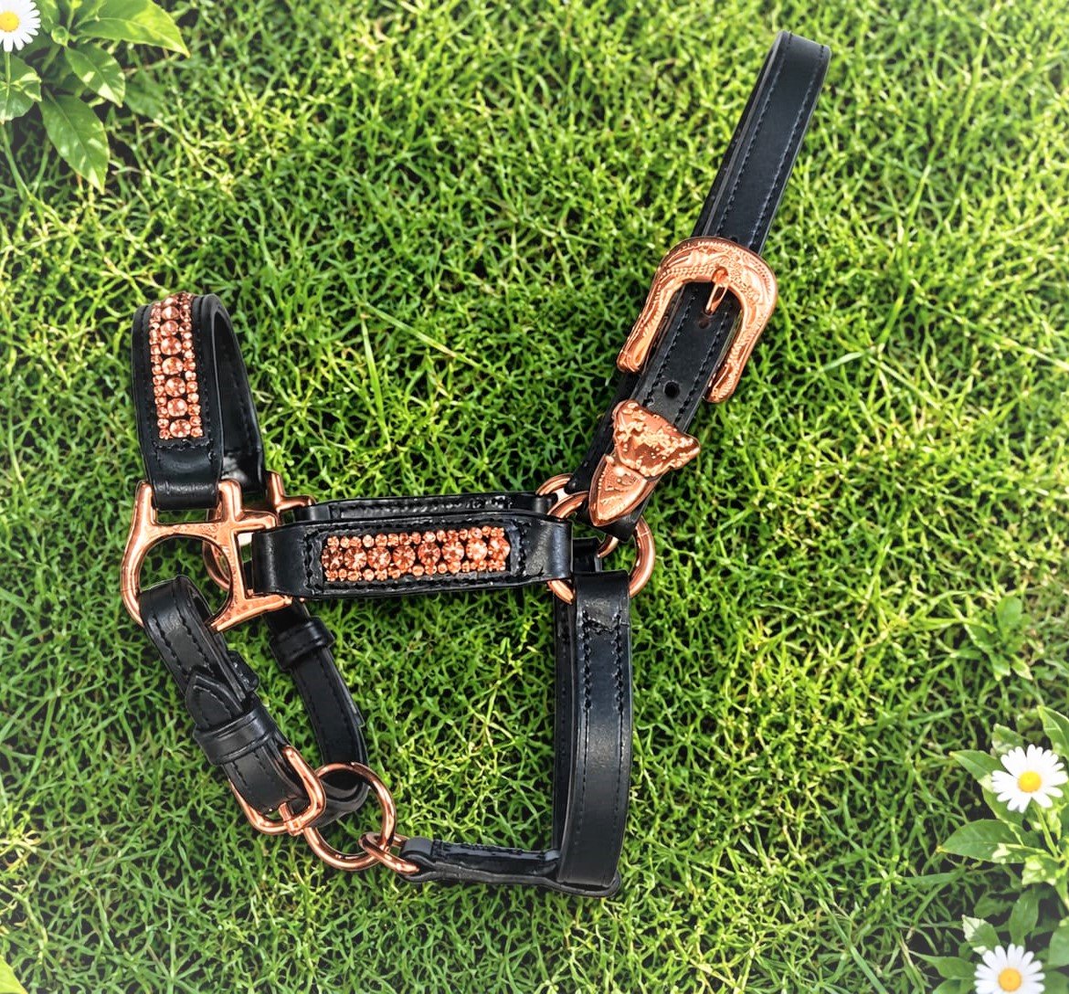 Leather Show Halter - Amaze Equestrian