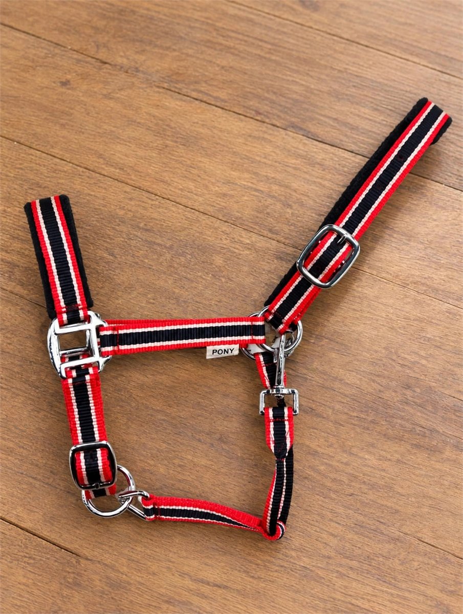 Web Stripe Halter - Amaze Equestrian