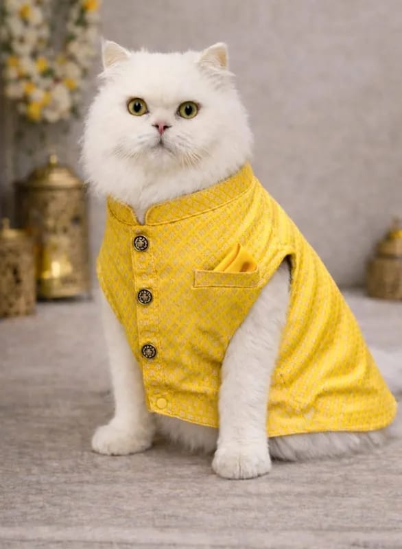 For dogs & Cats