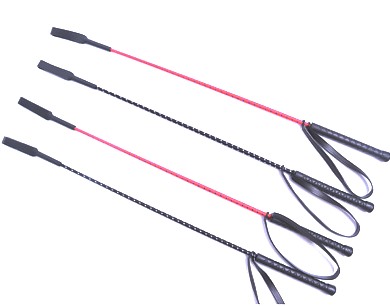 Training whip
