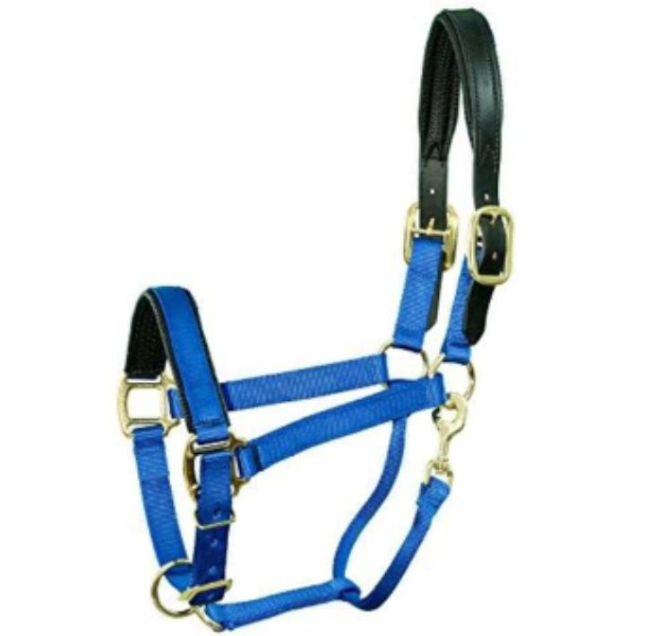 Leather crown halter