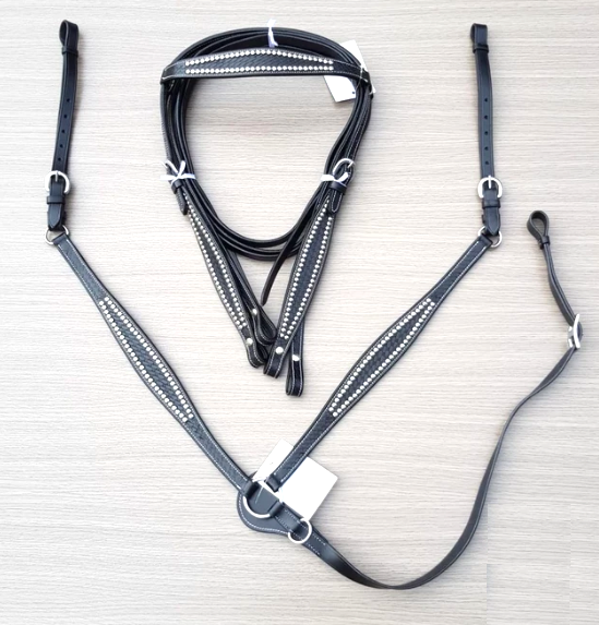 Leather head stall set