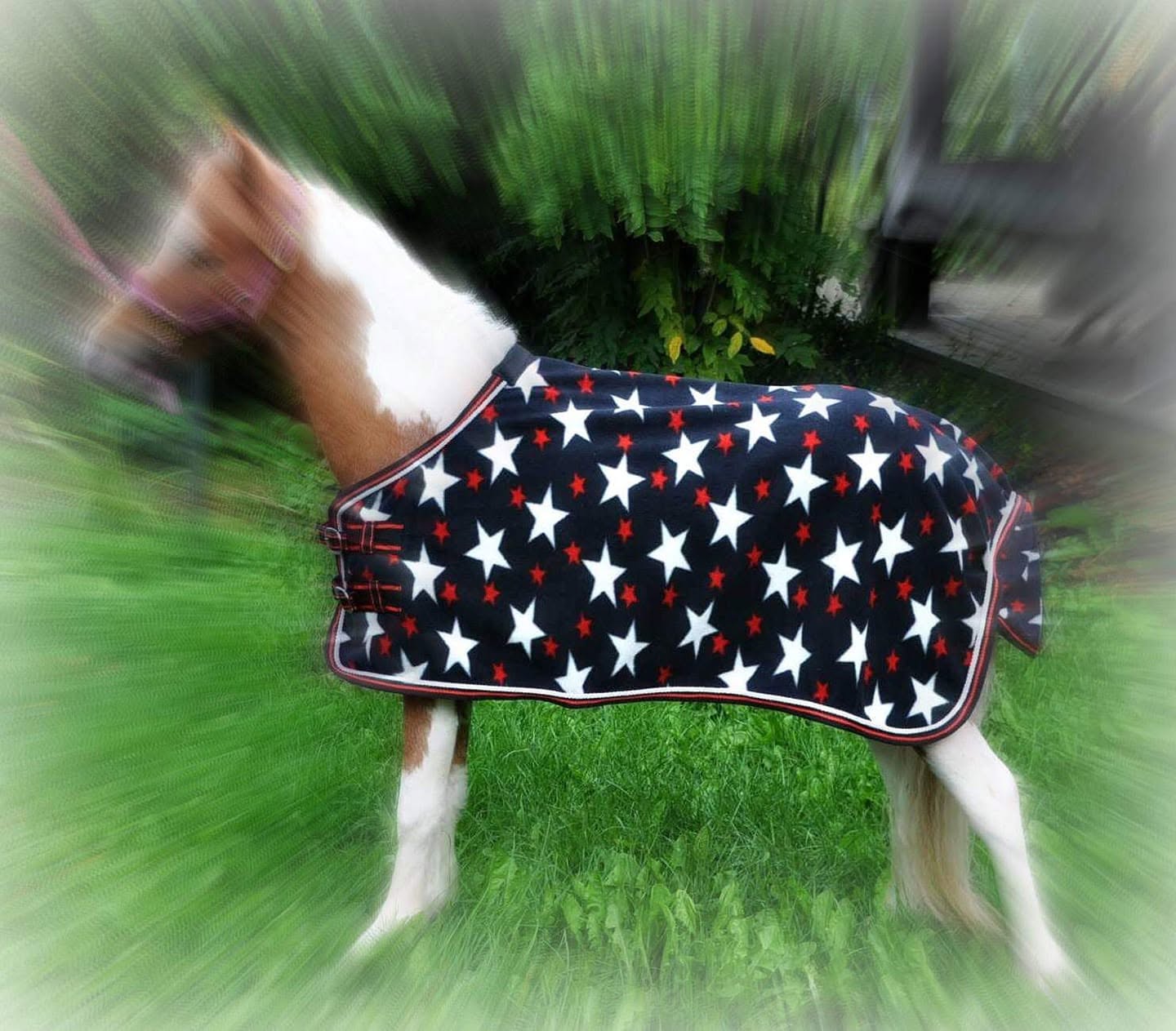 Star Fleece Cooler