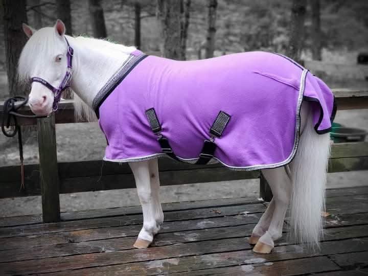 Fleece Cooller crystal