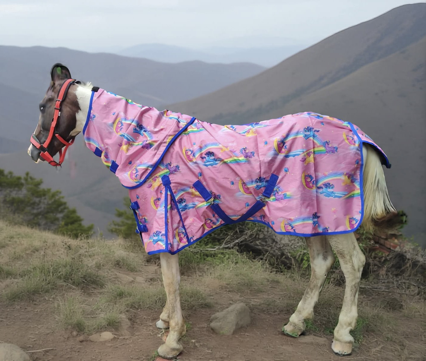 Unicorn Pink Rainsheet