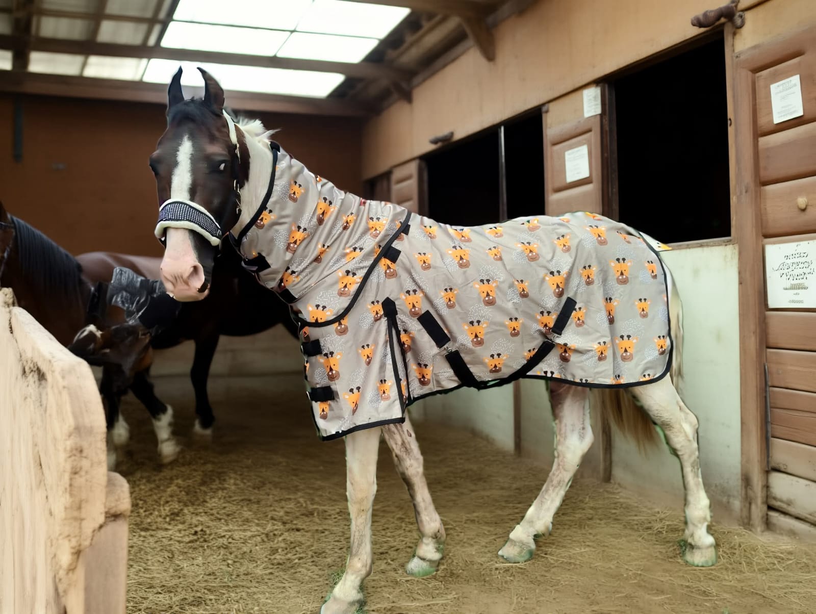 Donkey Cotton Sheet