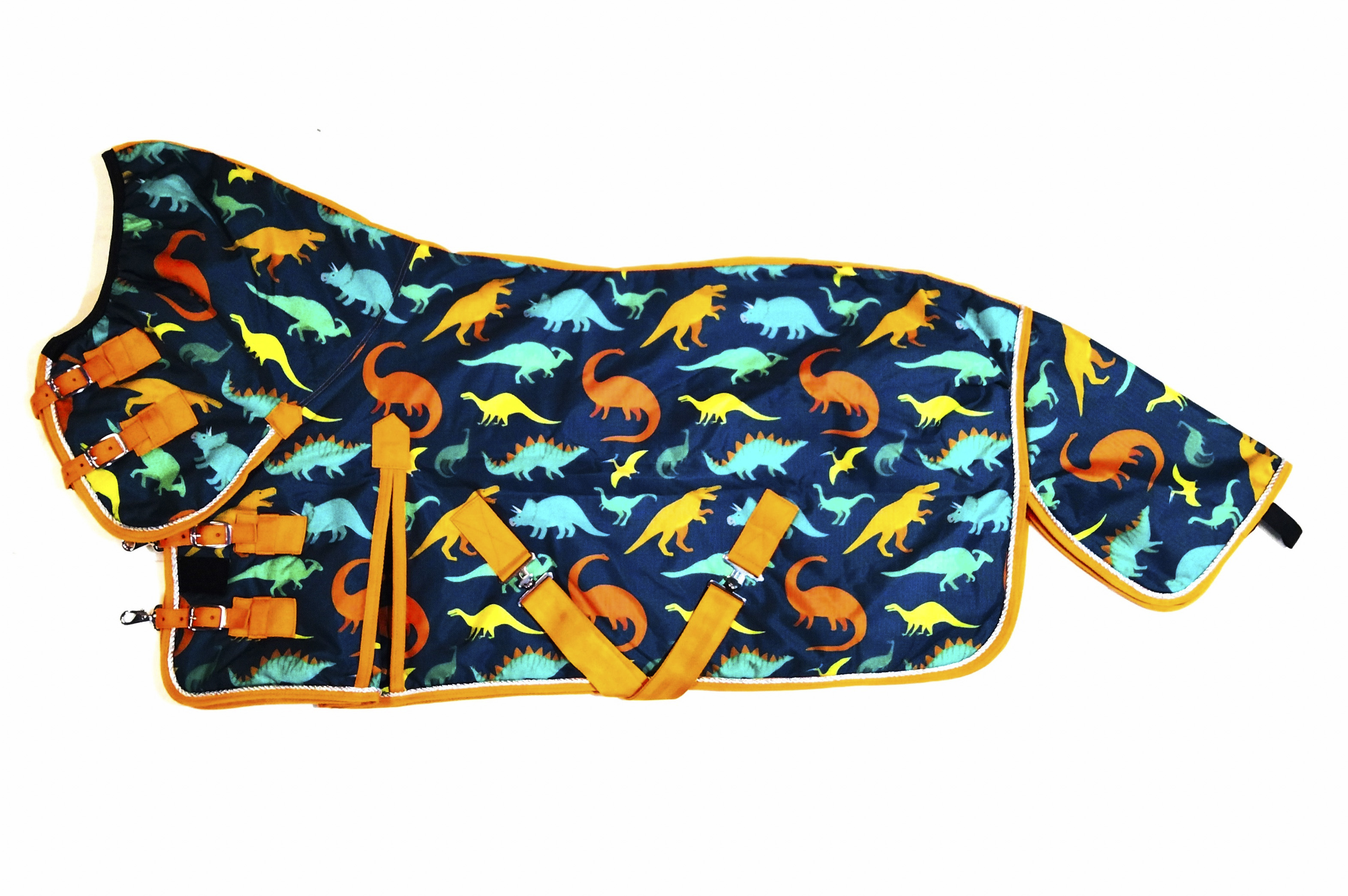 Dino Turnout rug