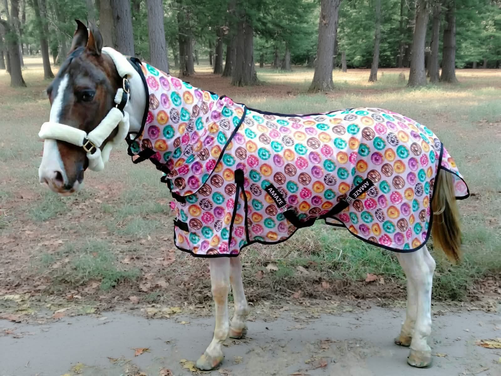 Donut Flysheet