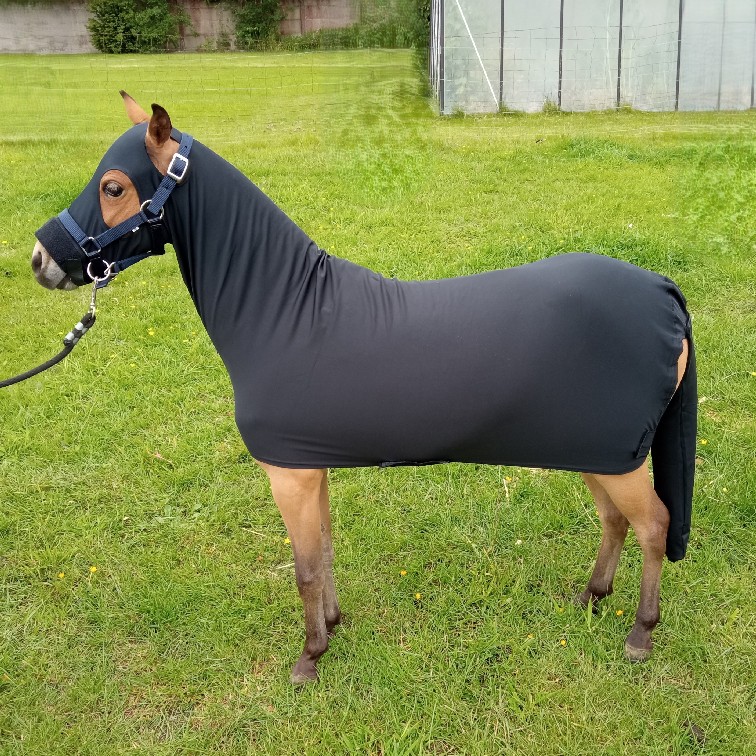 Lycra Bodysuit