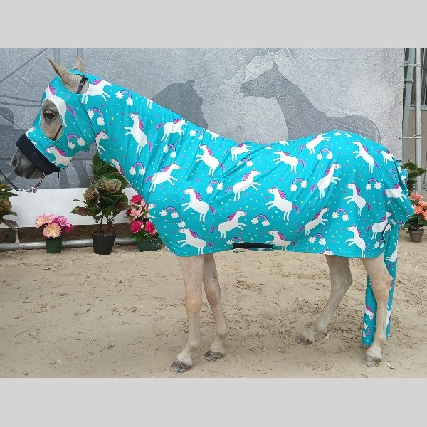 Lycra unicorn Bodysuit