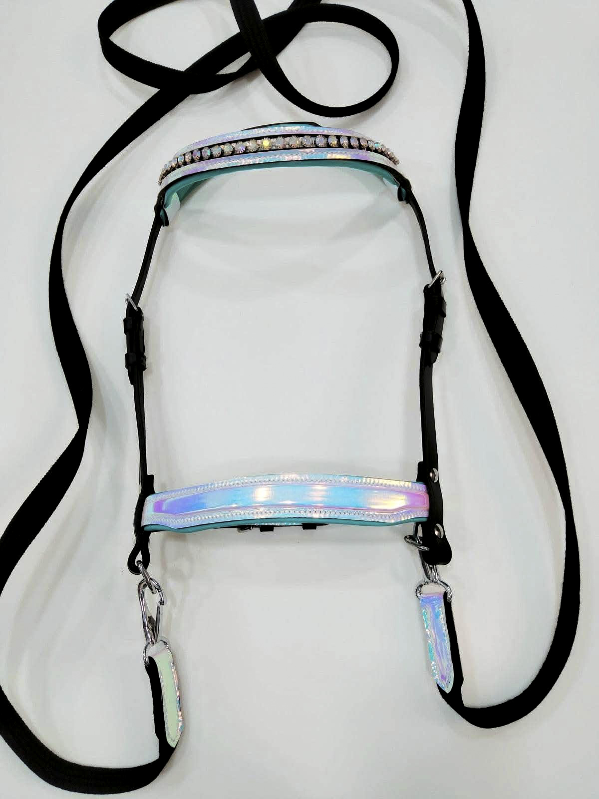 Leather Holo bridle