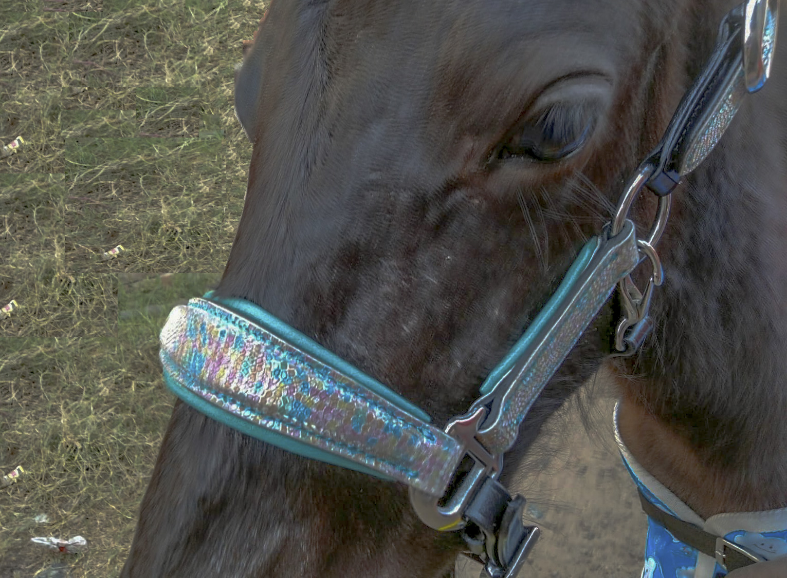 Leather Glitter halter