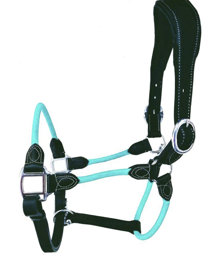 Leather Training halter