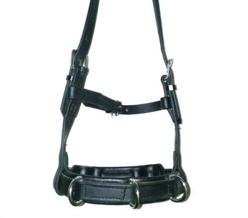 Leather Cavesson