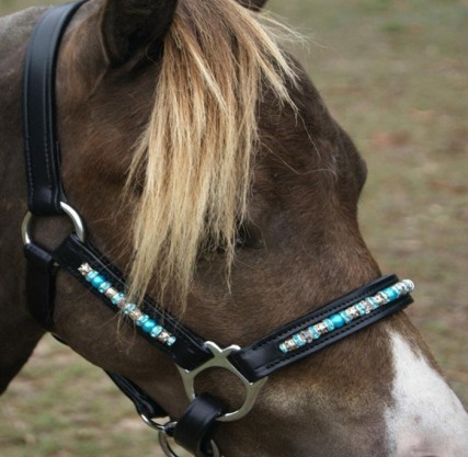 Leather Pearl Halter