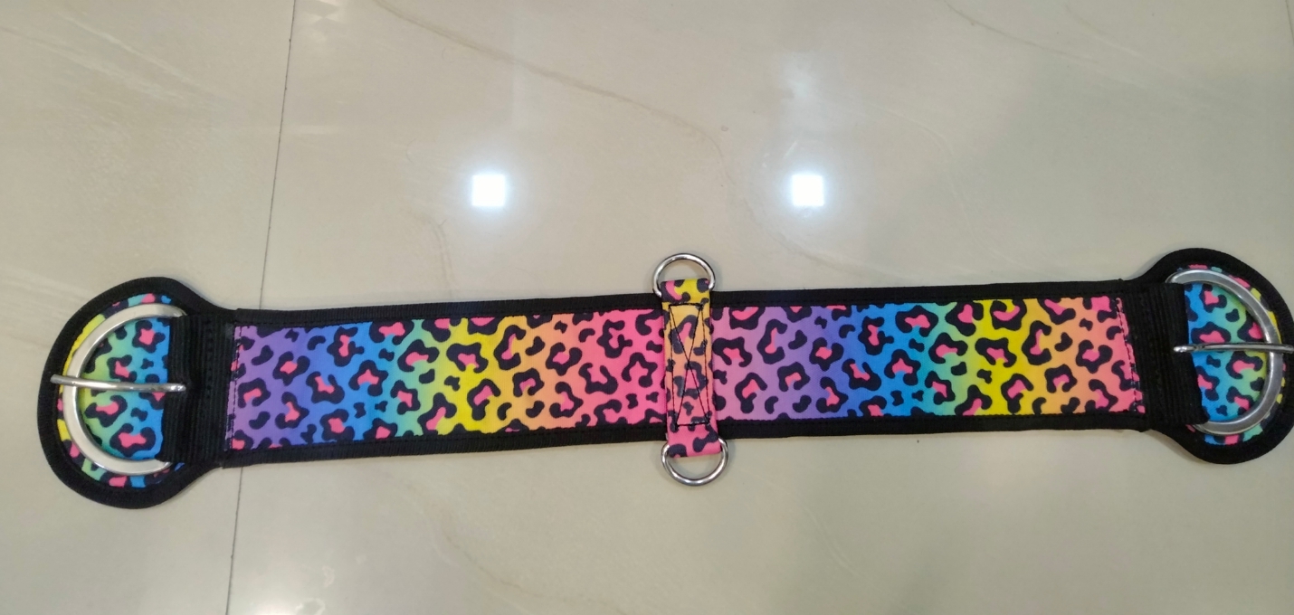 Webbing Cinch Rainbow