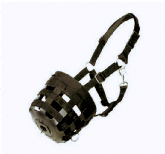 Grazzing muzzle