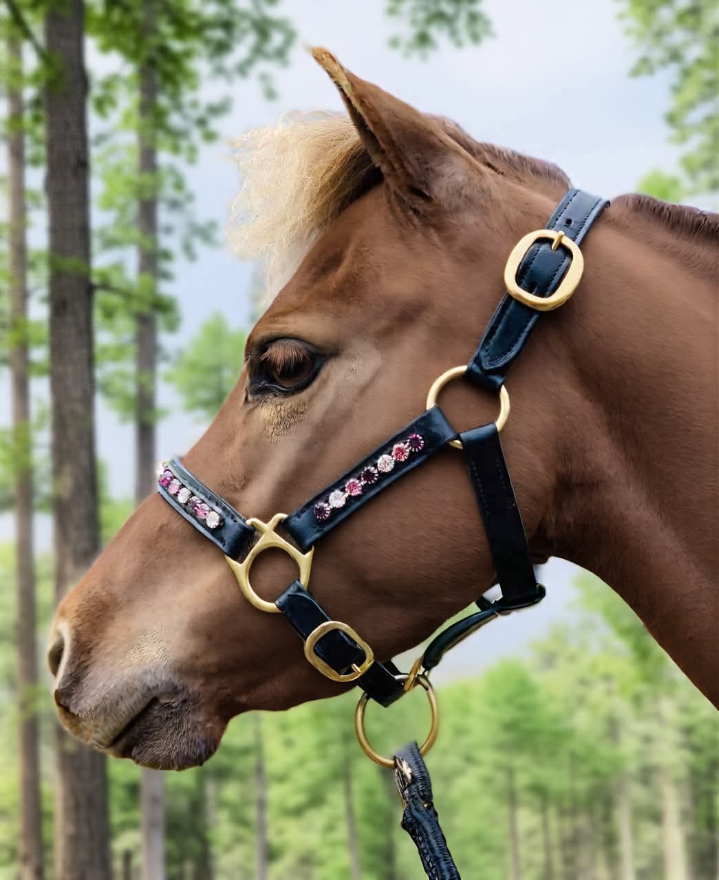 Leather Rhinestone Halter