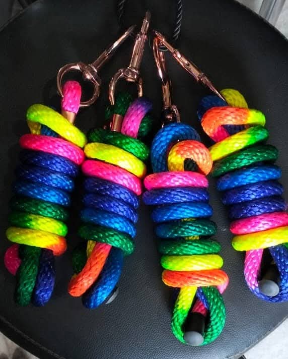 Lead rope Rainbow