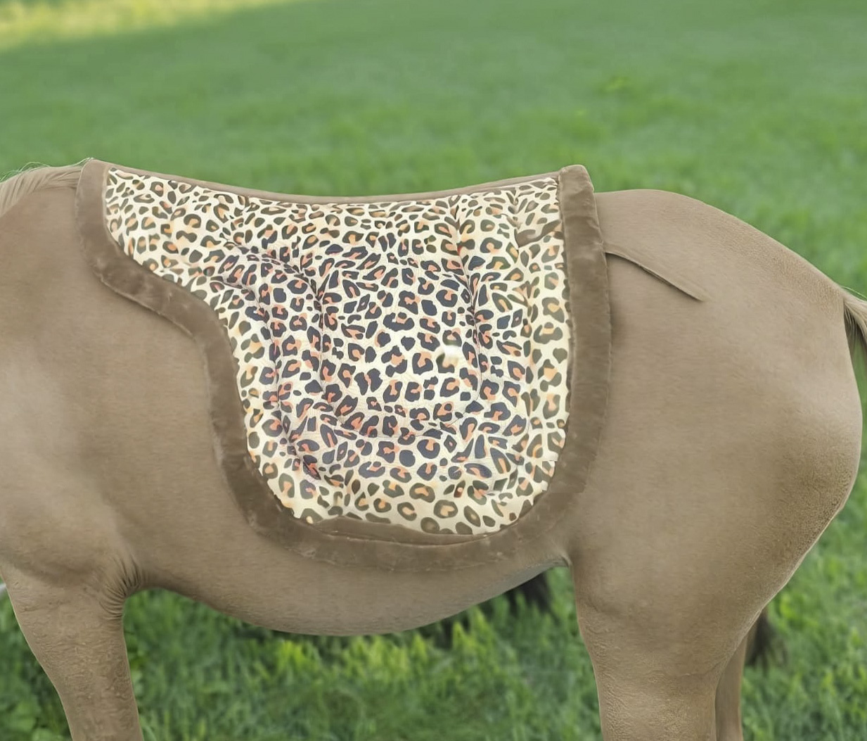 Leopard Numnah
