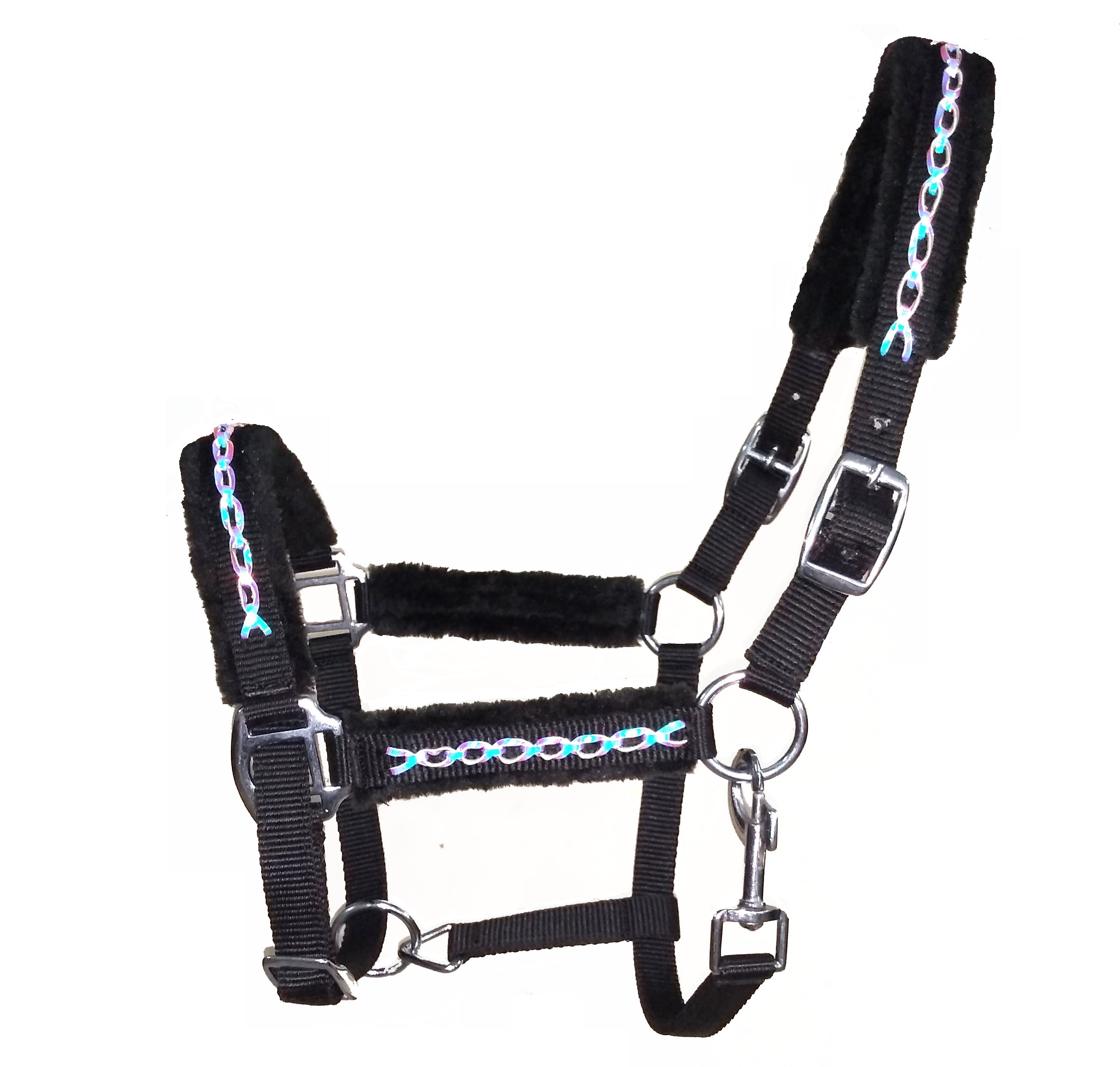 Web Halter