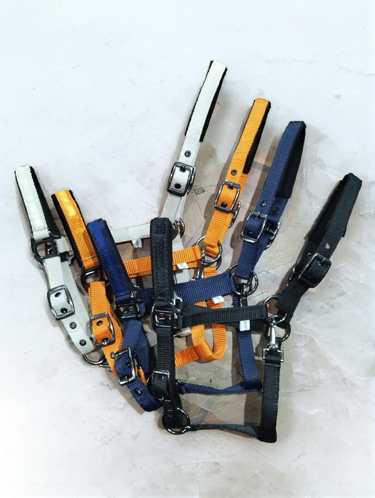 Web Padded Halter