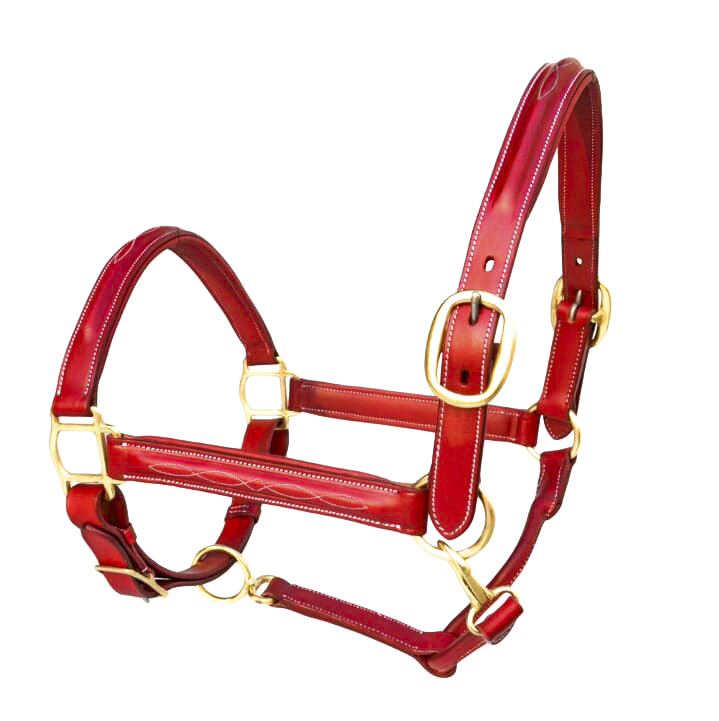 Leather red halter