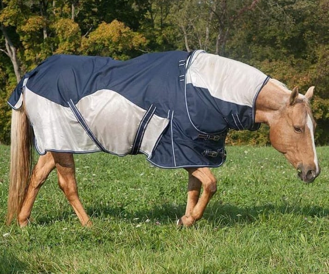 HR Hybrid rug