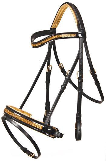 Leather bridle 