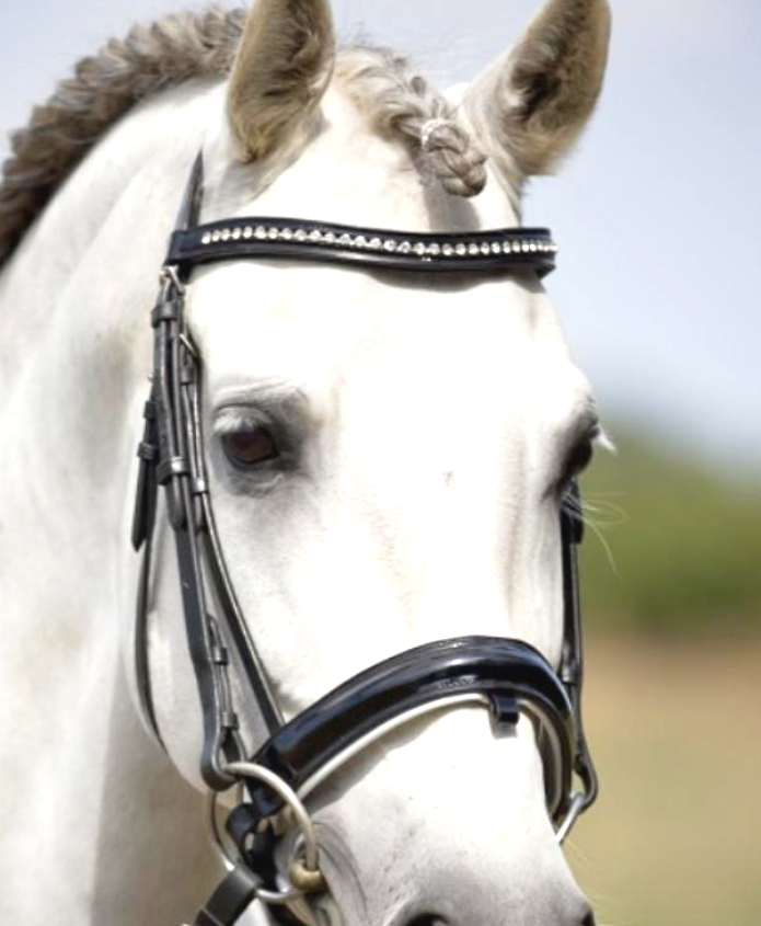 Leather bridle stone 