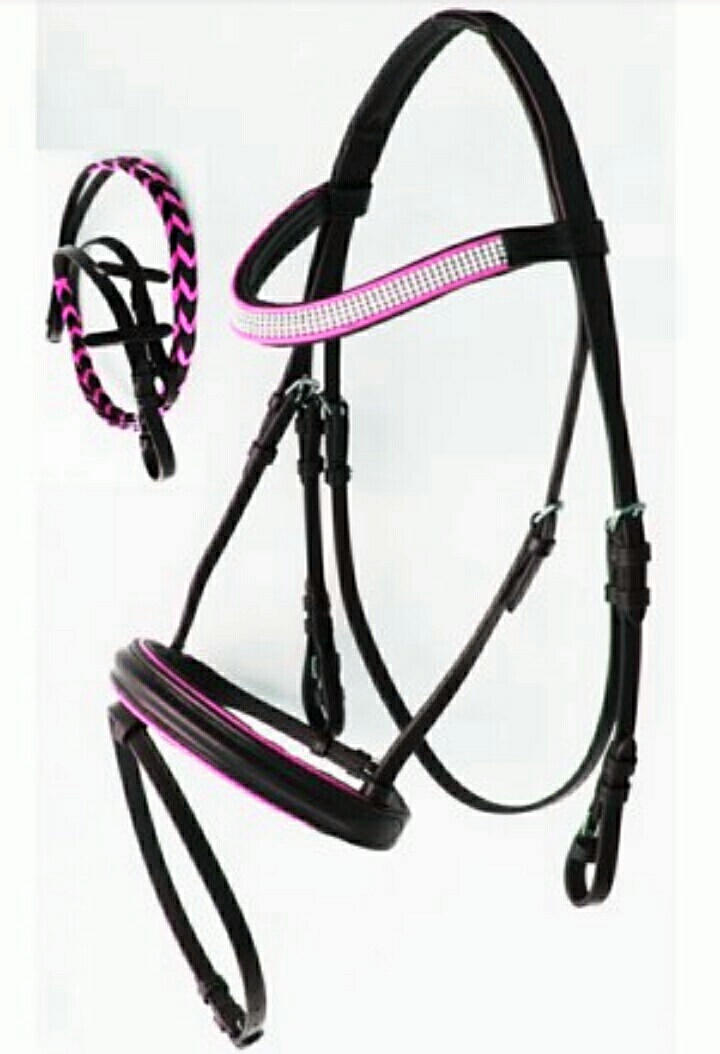 Leather bridle 