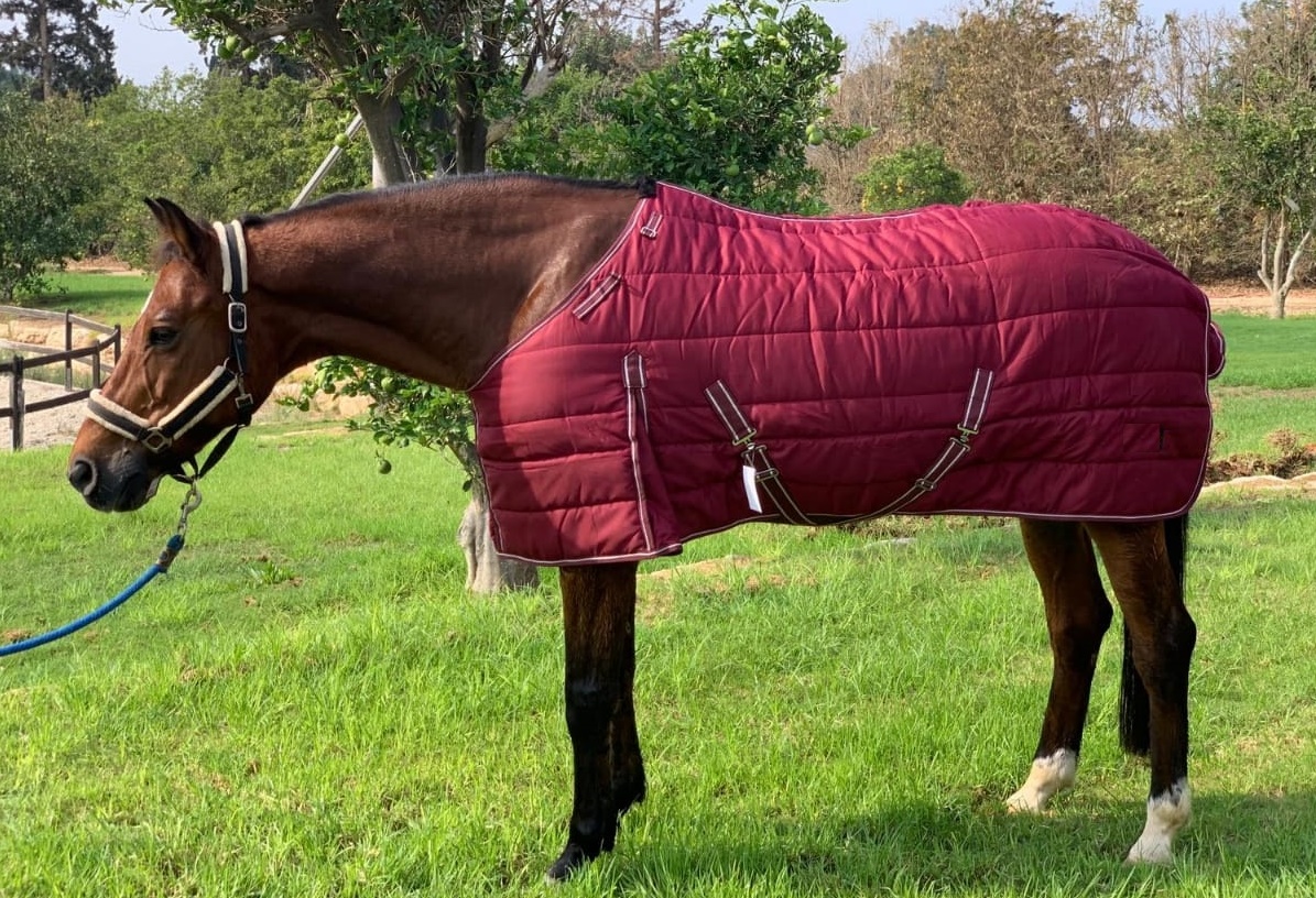 Stable rug cotton