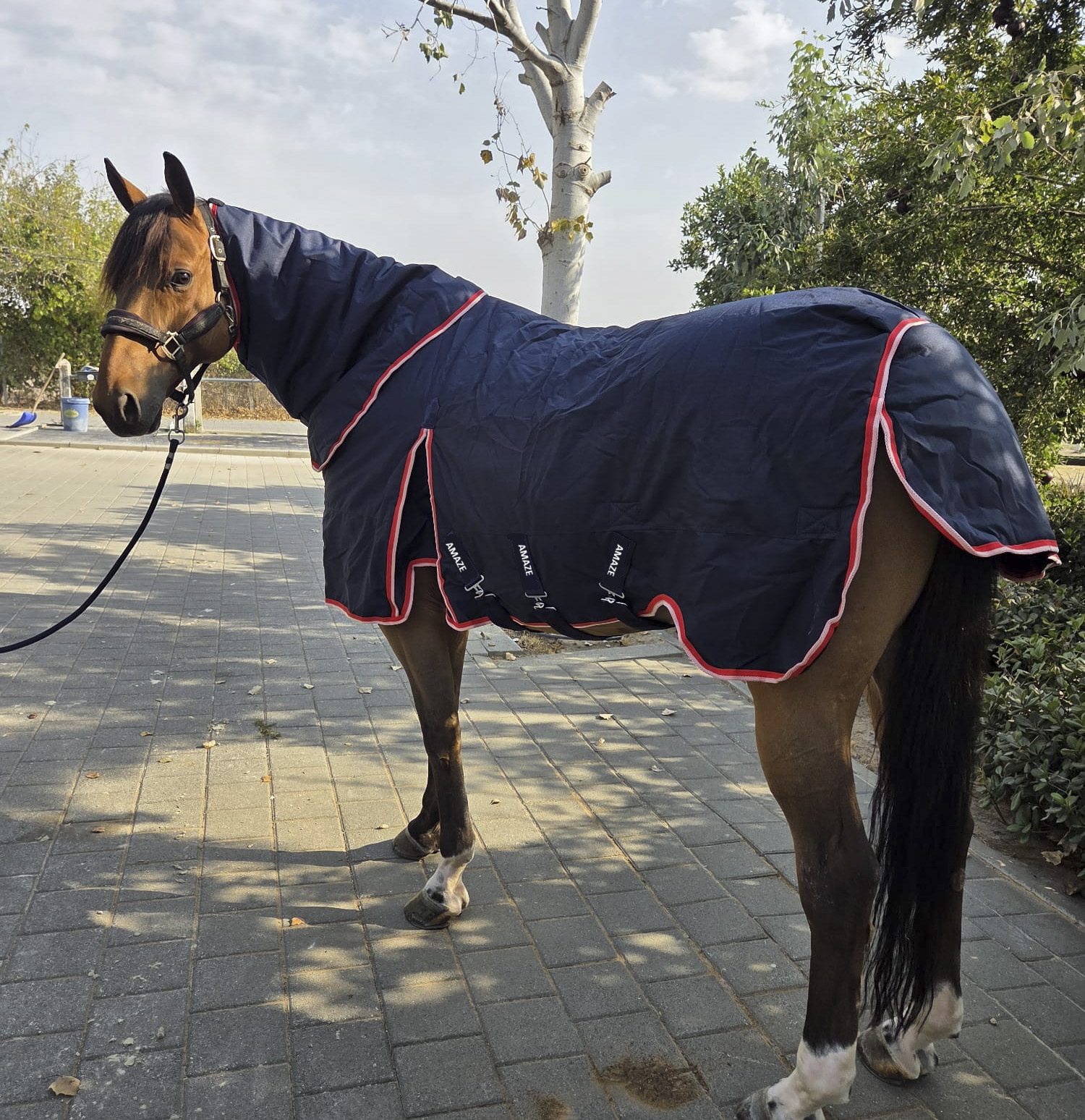 Turnout rug 