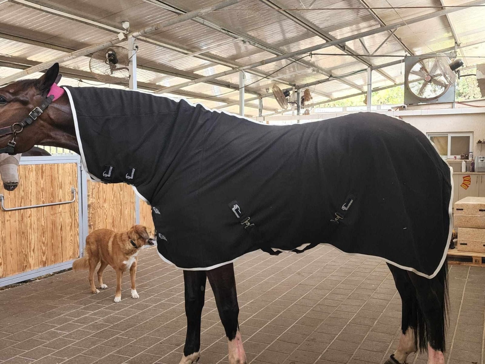 Fleece rug neck