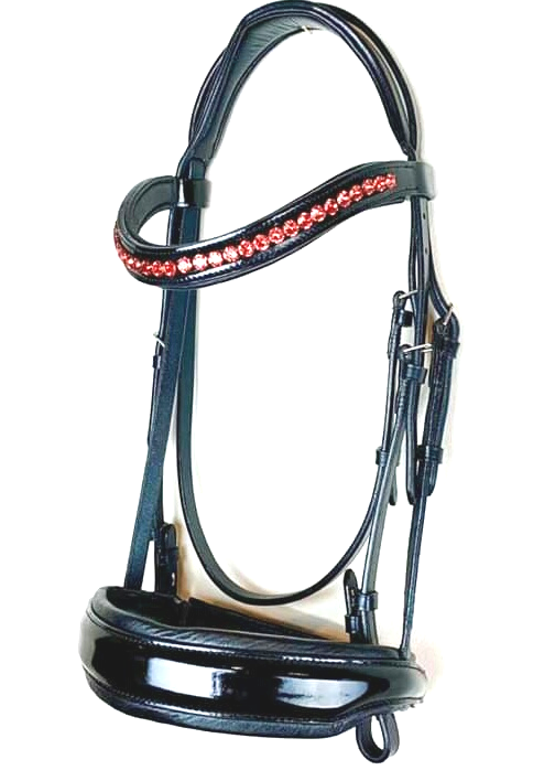 Patent bridle