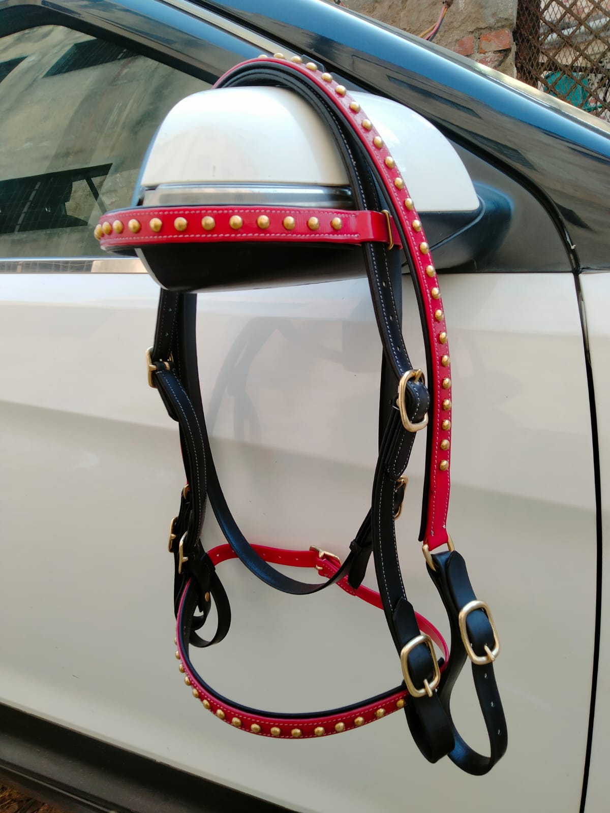 Biothene bridle 