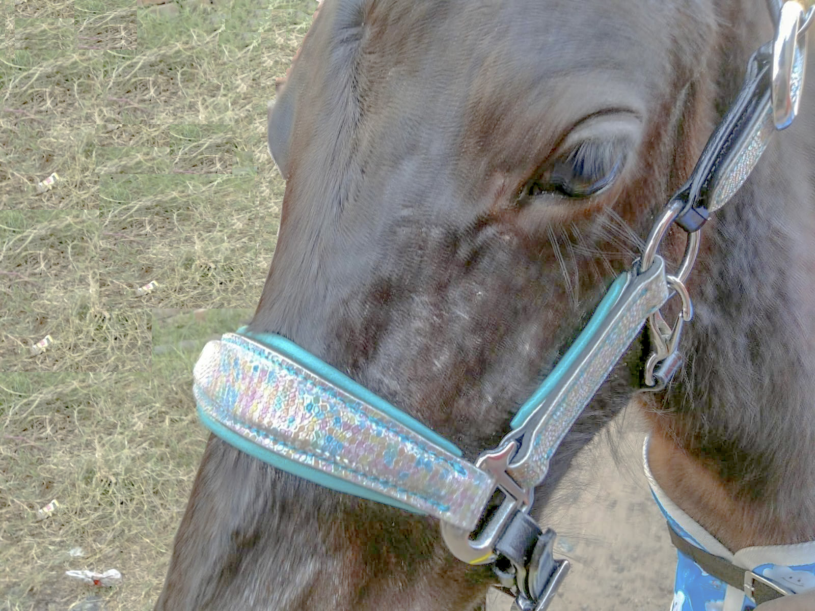 Teal Glitter Halter