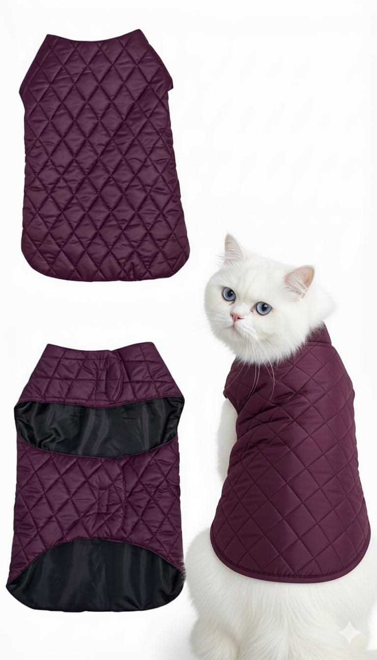 Quilted cat coat