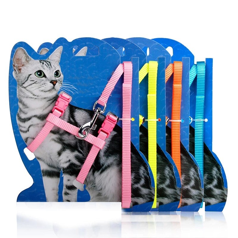 Web Cat Harness