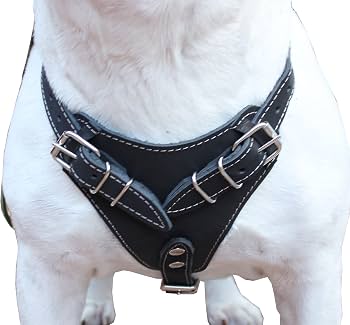 Leather dog harness