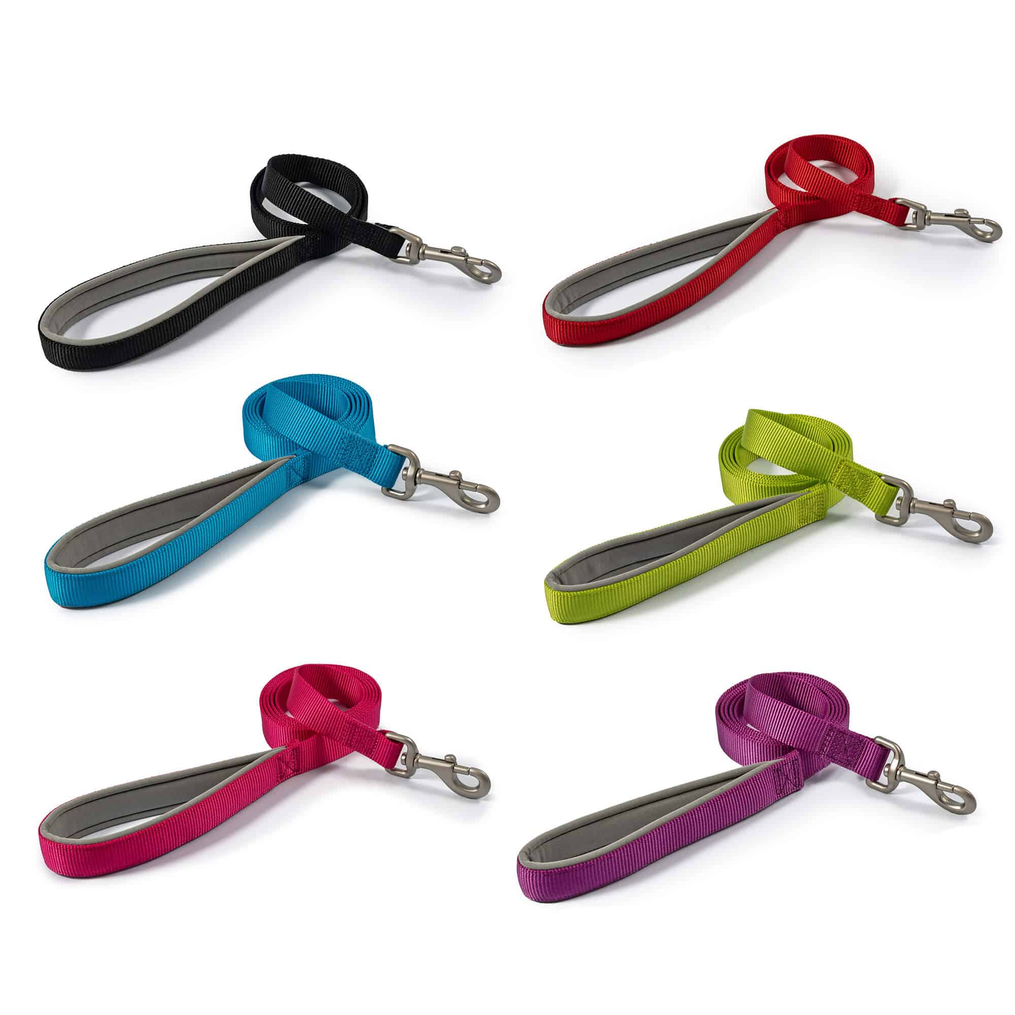 Web dog leads