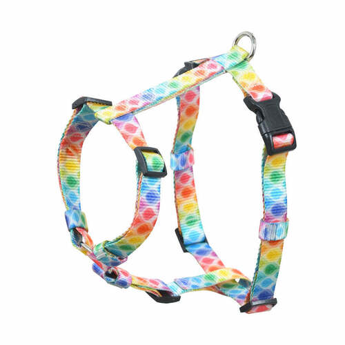 Web dog harness