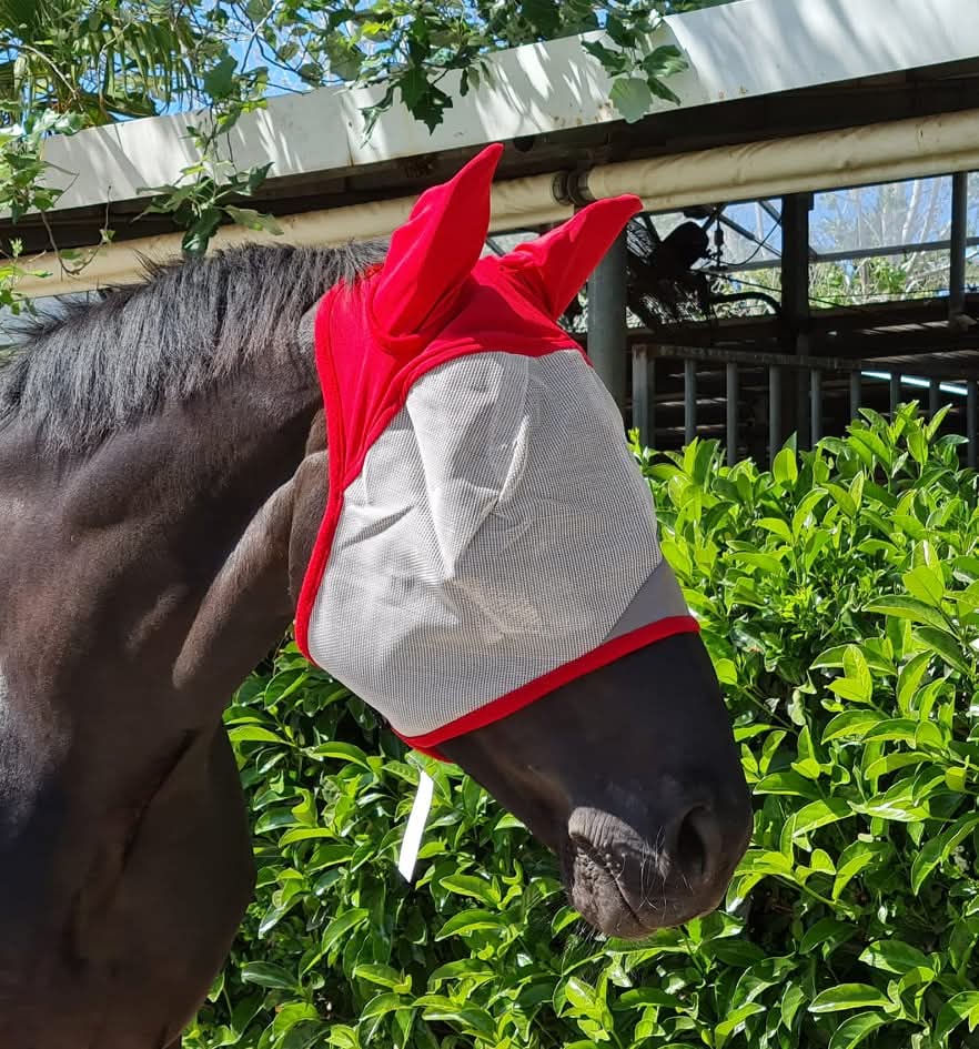 Fly mask